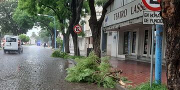 Una fuerte tormenta de agua y viento afectó a Rafaela (archivo)