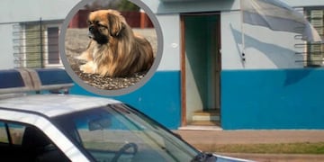 Lo había denunciado por violencia y él le mató el perro