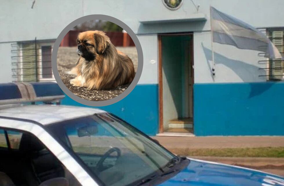 Conmoción en Entre Ríos: lo había denunciado por violencia y él le mató el perro