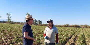 Desde la municipalidad de Lavalle deciden nos destejar la vendimia 2021 y apoyar con el dinero a los productores.