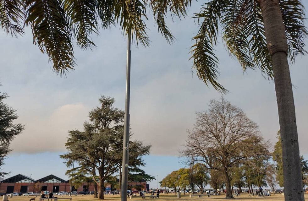 El tiempo en Rosario: lunes muy frío, pero se espera una semana con días cálidos