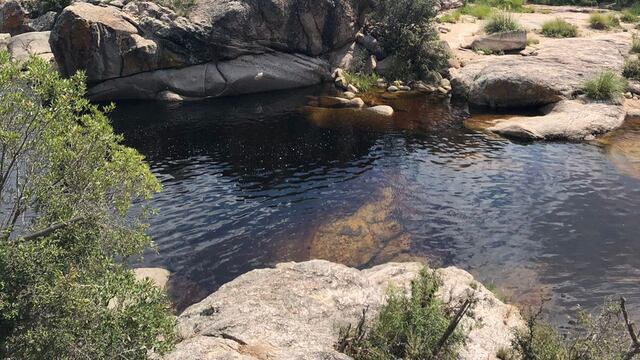 Trompa del Elefante Sauron Adventure