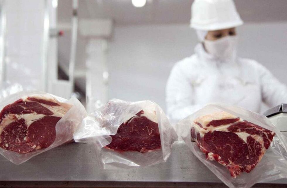 Ajustes para el sector carnes exportación