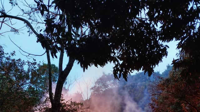 Un foco de incendio incineró una vivienda por completo en Colonia Alberdi.