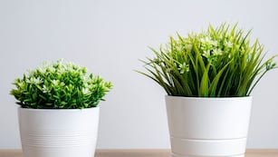 Por qué no tener plantas artificiales en el hogar.