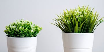 Por qué no tener plantas artificiales en el hogar.