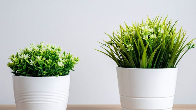 Por qué no tener plantas artificiales en el hogar.