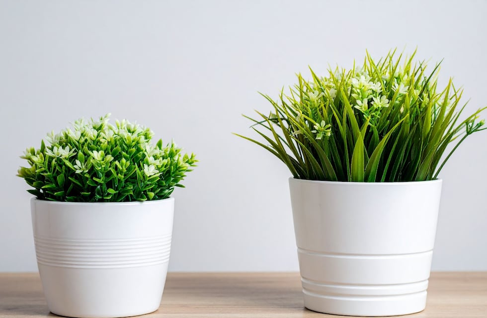 La razón por la que no hay que tener plantas artificiales en el hogar, según el Feng Shui