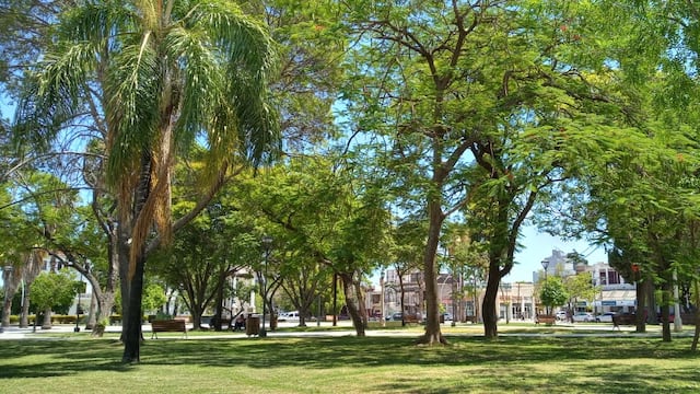 Plaza San Martín, Santiago del Estero. Foto: Mariana Herrera.