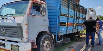 23 vacas fueron robadas a un productor rural de Hernando. El camión que las transportaba se averió y abandonaron la carga en la ruta.