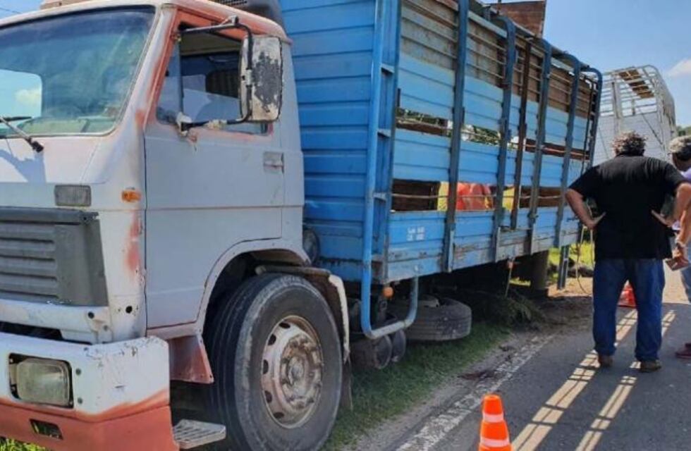 Robaron una veintena de vacas y las abandonaron en ruta 9