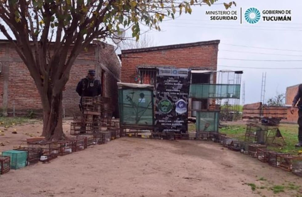 Liberan 60 aves silvestres que se encontraban en cautiverio