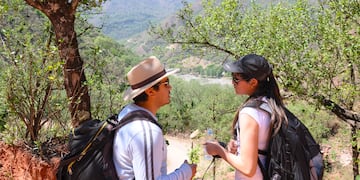 En Jujuy rige normativa que establece presupuestos de protección ambiental para el enriquecimiento, la restauración, conservación, aprovechamiento y manejo sostenible de los bosques nativos.