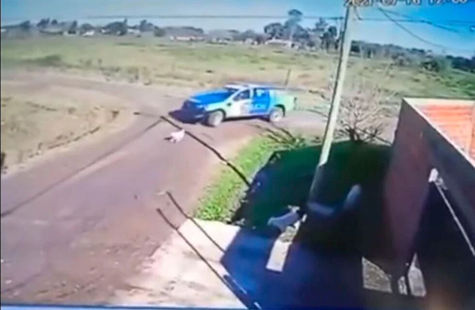 Qué pasará con el policía que atropelló a “Lobo”, el perro que murió en Corrientes