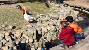 La ciudad largó un extenso cronograma de propuestas