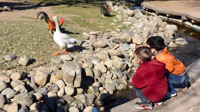 Los chicos se preparan para los últimos días del receso escolar.