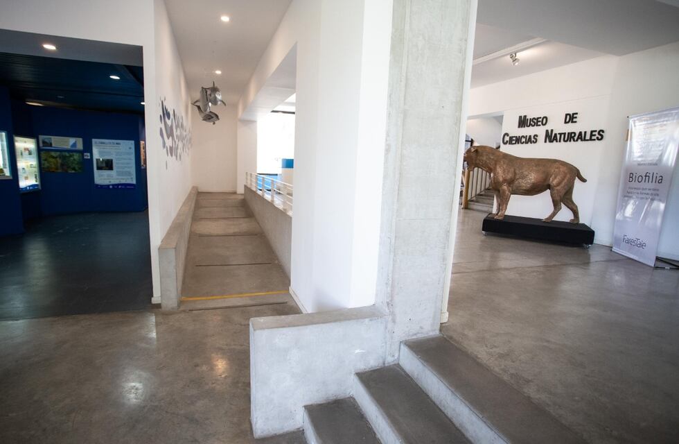 El Museo de Ciencias Naturales “Lorenzo Scaglia” avanza en obras para garantizar la accesibilidad