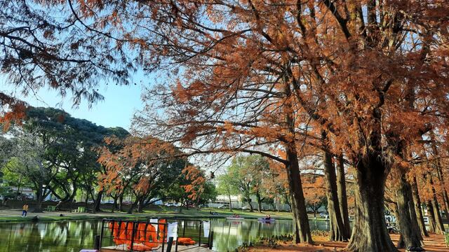 Los servicios y las actividades son gratuitas.