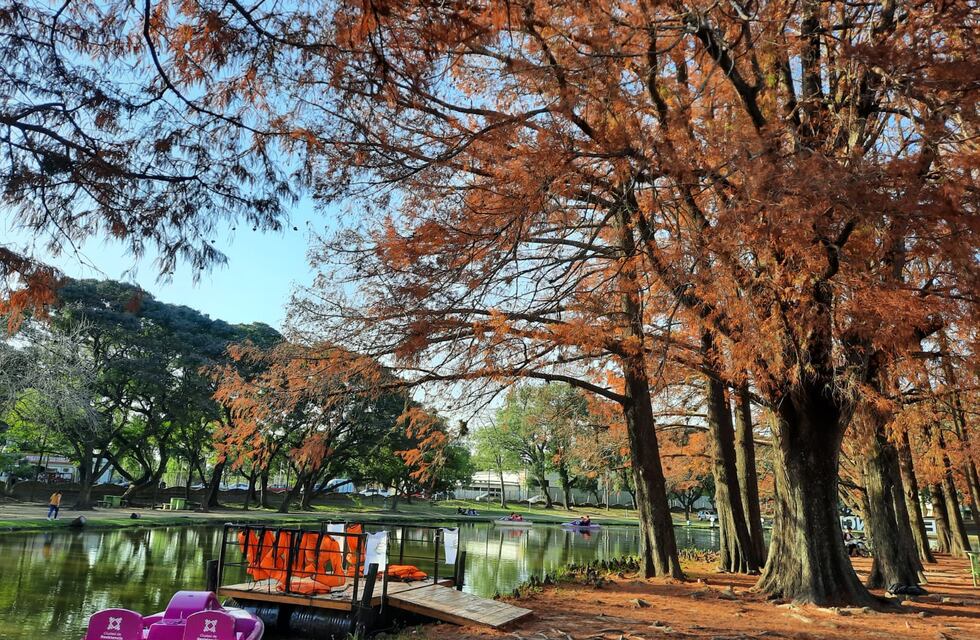 Resistencia continúa con una amplia variedad de actividades los fines de semana