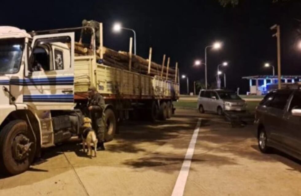 Posadas: interceptan contrabando de marihuana oculto en un camión de eucaliptos