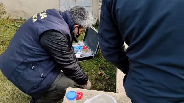 El miembro masculino estaba en el interior de un frasco y lo descubrió mientras cortaba el pasto.