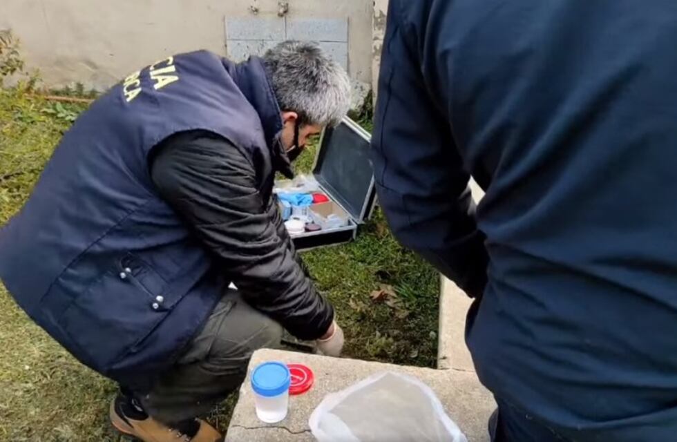 Insólito hallazgo en Balcarce: encontró restos de un pene frente a su casa