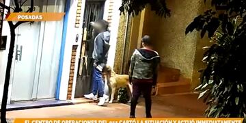 Violencia en Posadas: dos jóvenes violentaron el domicilio de una joven.