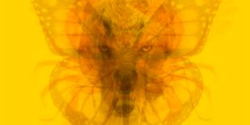 ¿Qué animal ves primero? Descubrí los principales rasgos de tu personalidad.