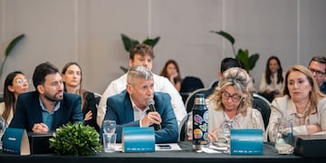 Consejo Federal de Turismo (CFT)