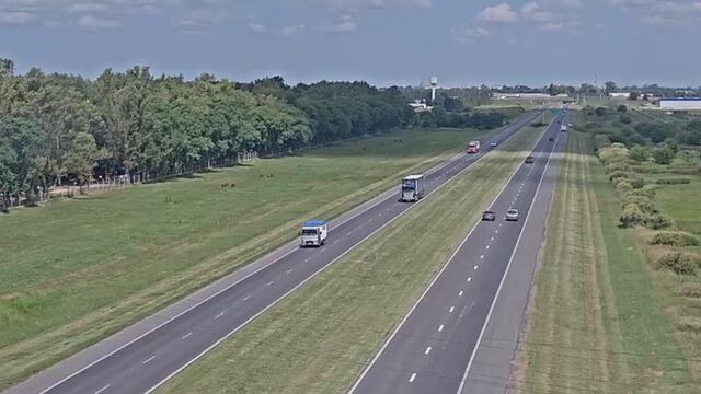 Conductor se descompensó en la Autopista Rosario - Santa Fe: pudo haber sido una tragedia.