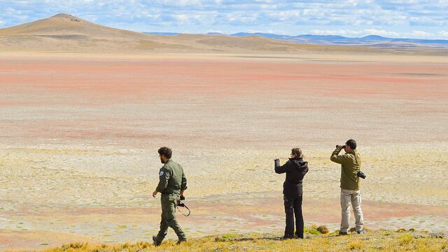 La Secretaría de Ambiente realizó el censo de cauquenes colorados