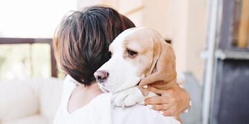 Un perro lloró de la felicidad al ser alimentado por un extraño. Foto: Freepik.