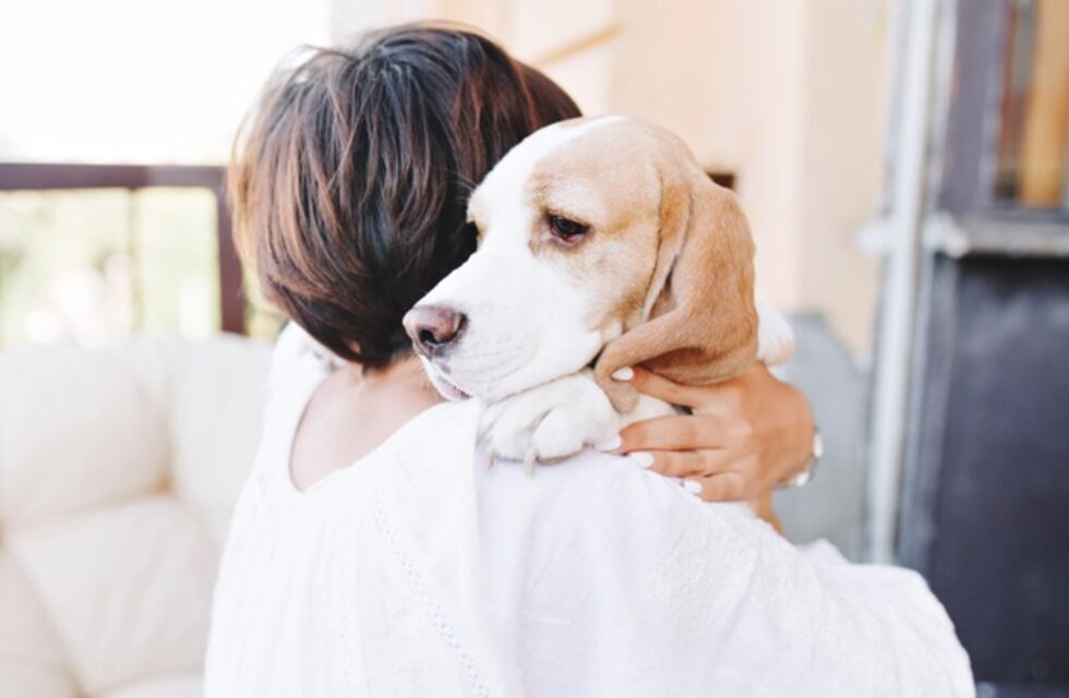 Viral: Un perro callejero lloró de la felicidad cuando un extraño le dio de comer