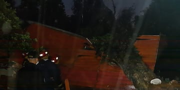 Por el temporal cayó un árbol sobre una vivienda en Oberá.
