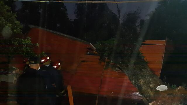 Por el temporal cayó un árbol sobre una vivienda en Oberá.