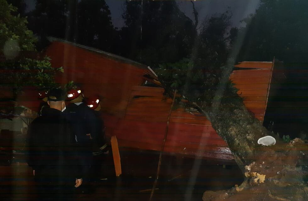 Por el temporal cayó un árbol sobre una vivienda en Oberá