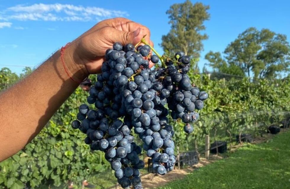 Gualeguaychú fue sede de la primera jornada de capacitación en Enología