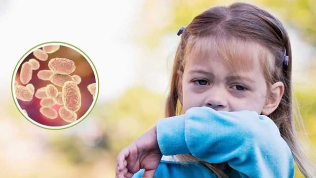 Tras dos casos de Tos Convulsa en Tres Arroyos desde la Municipalidad instan a la vacunación