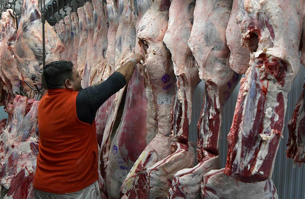 Los frigoríficos que no cumplan con el acuerdo de precios de la carne, tendrán sus exportaciones frenadas