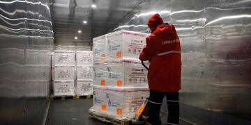 Avance del Plan Estratégico de Vacunación: Ya se aplicaron más de 25 millones de dosis y se completa hoy una nueva distribución de 768 mil dosis de Sinopharm en todo el país (Presidencia)