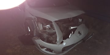 Se cruzó un chancho jabalí