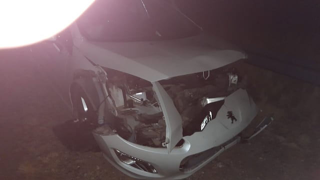 Se cruzó un chancho jabalí