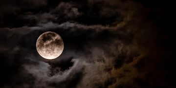 Habrían visto al Lobizón en la capital de Corrientes.