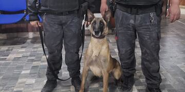 Aquira la gran ayudante.