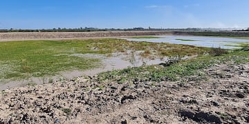 Obra cloacas Gualeguay