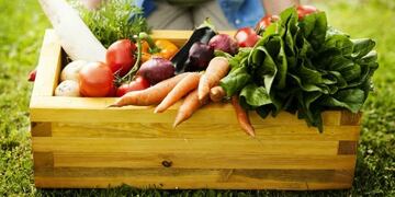 Feria en Puerto Iguazú promueve productos orgánicos de la mano de los productores locales.