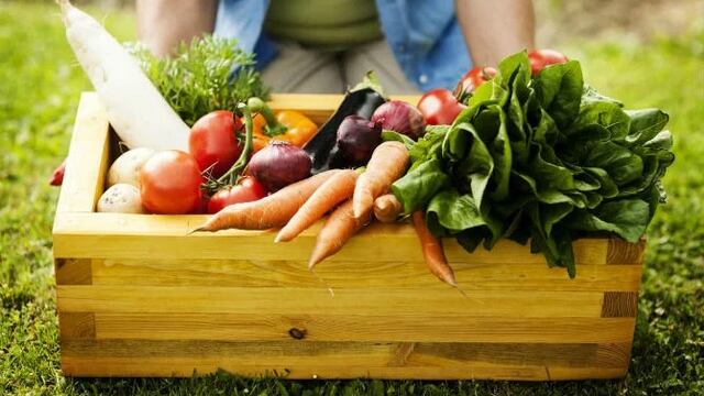 Feria en Puerto Iguazú promueve productos orgánicos de la mano de los productores locales.