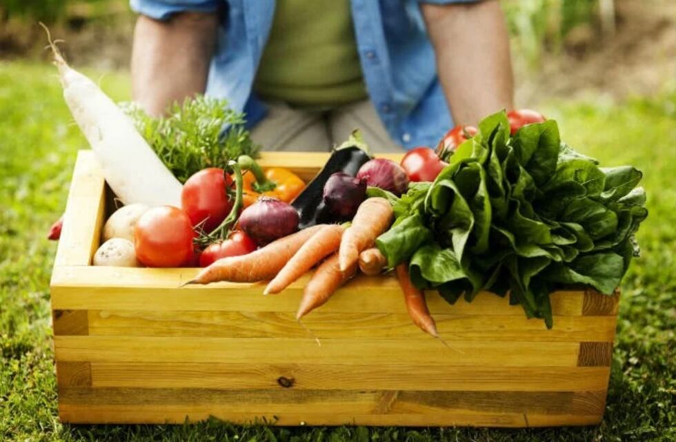 Feria en Puerto Iguazú promueve productos orgánicos de la mano de los productores locales