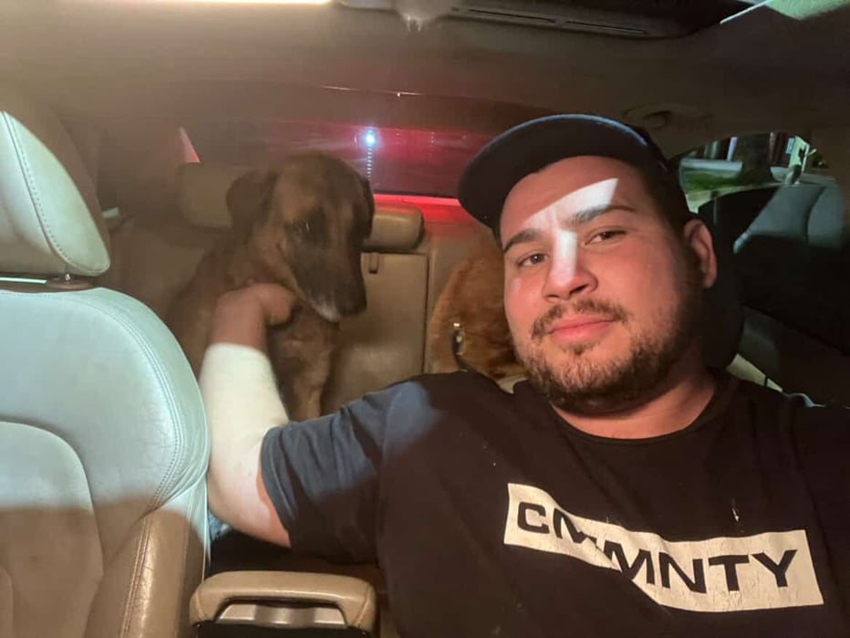 Rescataron a dos perros que vivían en condiciones de abandono extremo en Posadas.