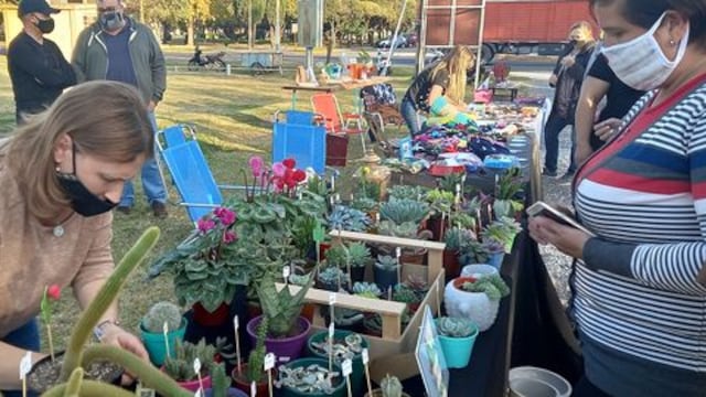 Productos a la venta en la Feria de Pujato